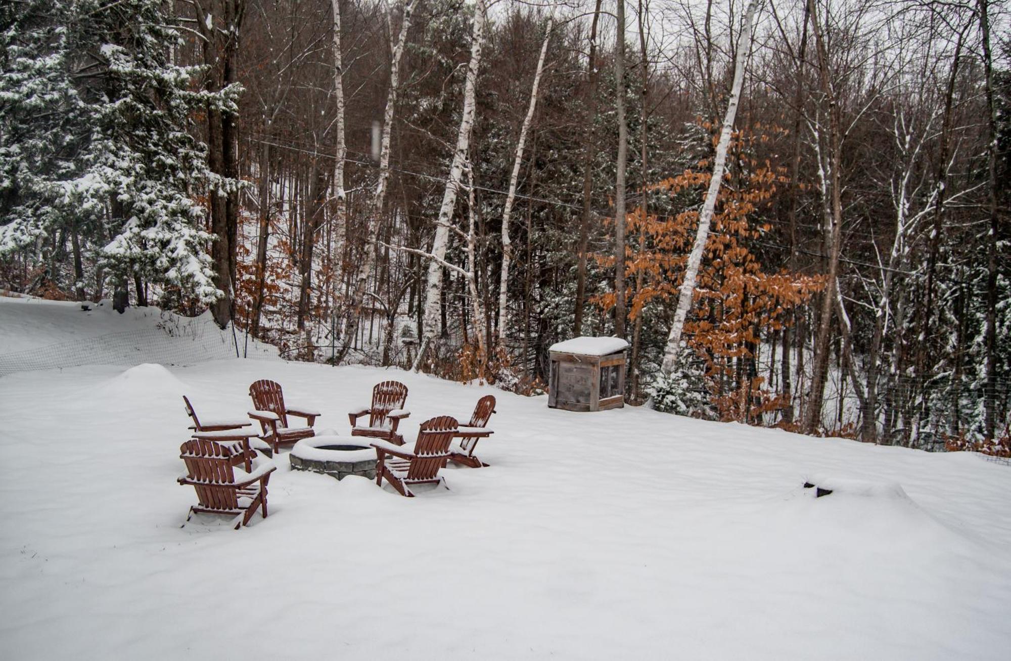 Birch House: Cozy Cabin 5 Min From Okemo Λάντλοου Εξωτερικό φωτογραφία